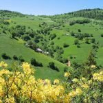 Dünyadan Kopar Gibi…