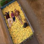 Bajrangi Bhaijiaan (Bajrangi Ağabey)