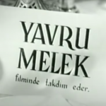 Ayşecik Yavru Melek