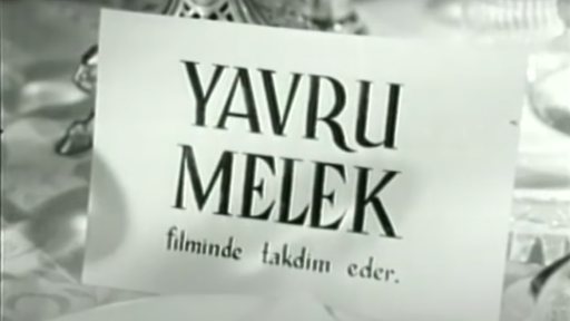 Ayşecik Yavru Melek