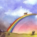 Kaybetmek, Acı çekmek ve Yas Tutmak Üzerine…