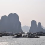 Gülümseyen Ejderhaların Masal Ülkesi; Vietnam…