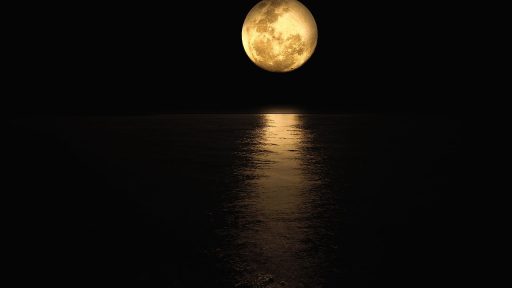 O Gece Dolunay Vardı