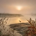 Kuşlar… Duygular… Düşünceler…