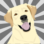 KÖPEK